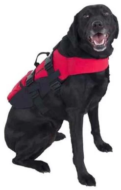 NRS Dog PFD 7 NRS Dog PFD -Paddle Sports Shop Dog PFD on Dog 57638.1586893804