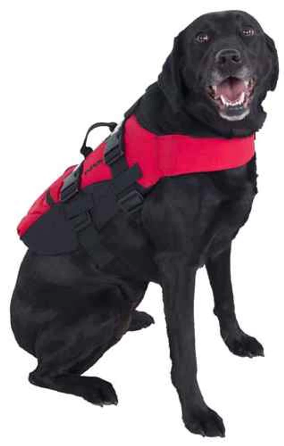 NRS Dog PFD 5 NRS Dog PFD - Image 3