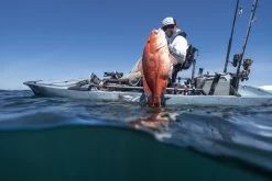 Hobie Pro Angler 14' 360 -Paddle Sports Shop ProAngler14 360 example 29718.1574551057